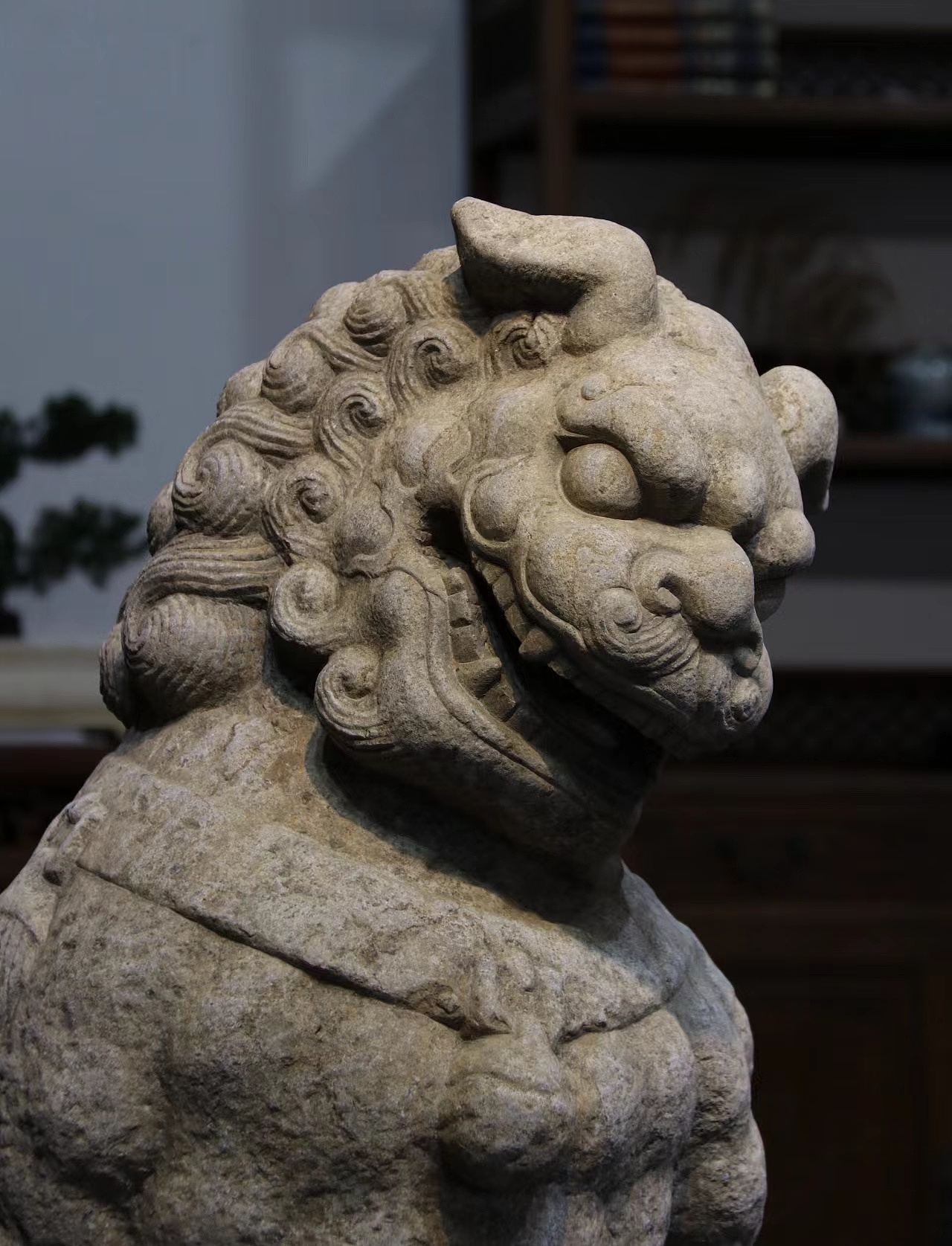 门狮（图ZMzUxOTUzMTI4） - 景观设计 - 站酷设计师亿古小舍原创素材 - 站酷ZCOOL