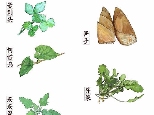 花草菜食