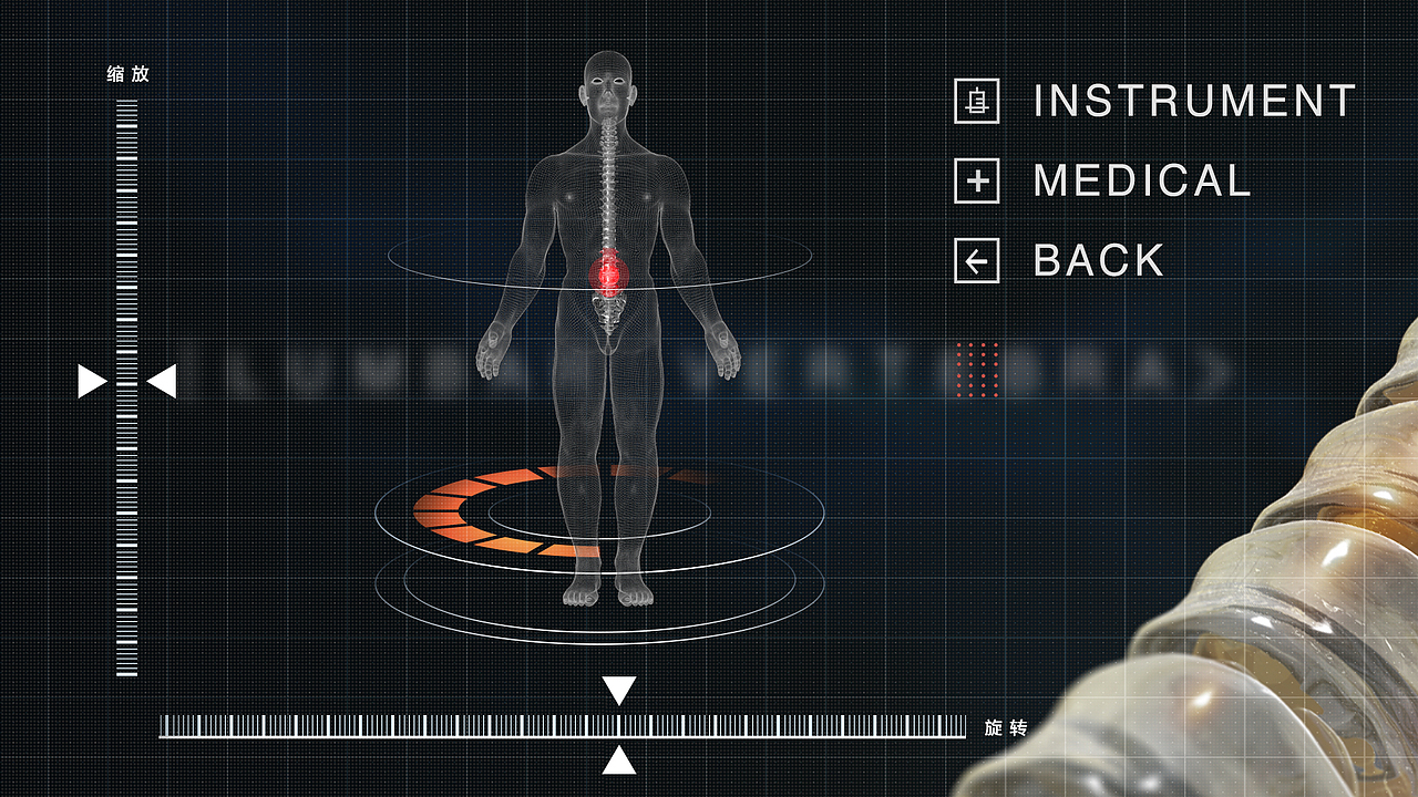 骨骼（图ZMTMxNTQ0Mzcy） - 人物/生物 - 站酷设计师Anding原创素材 - 站酷ZCOOL