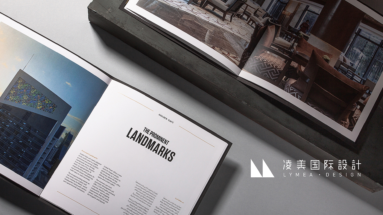 凌美国际——标志设计