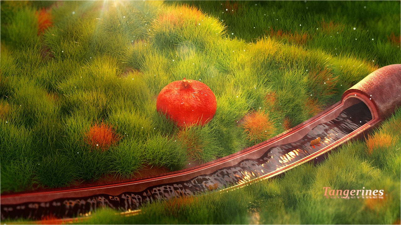 草地血管（图ZMjA1ODYxMTM2） - 其他三维 - 站酷设计师你搞这原创素材 - 站酷ZCOOL