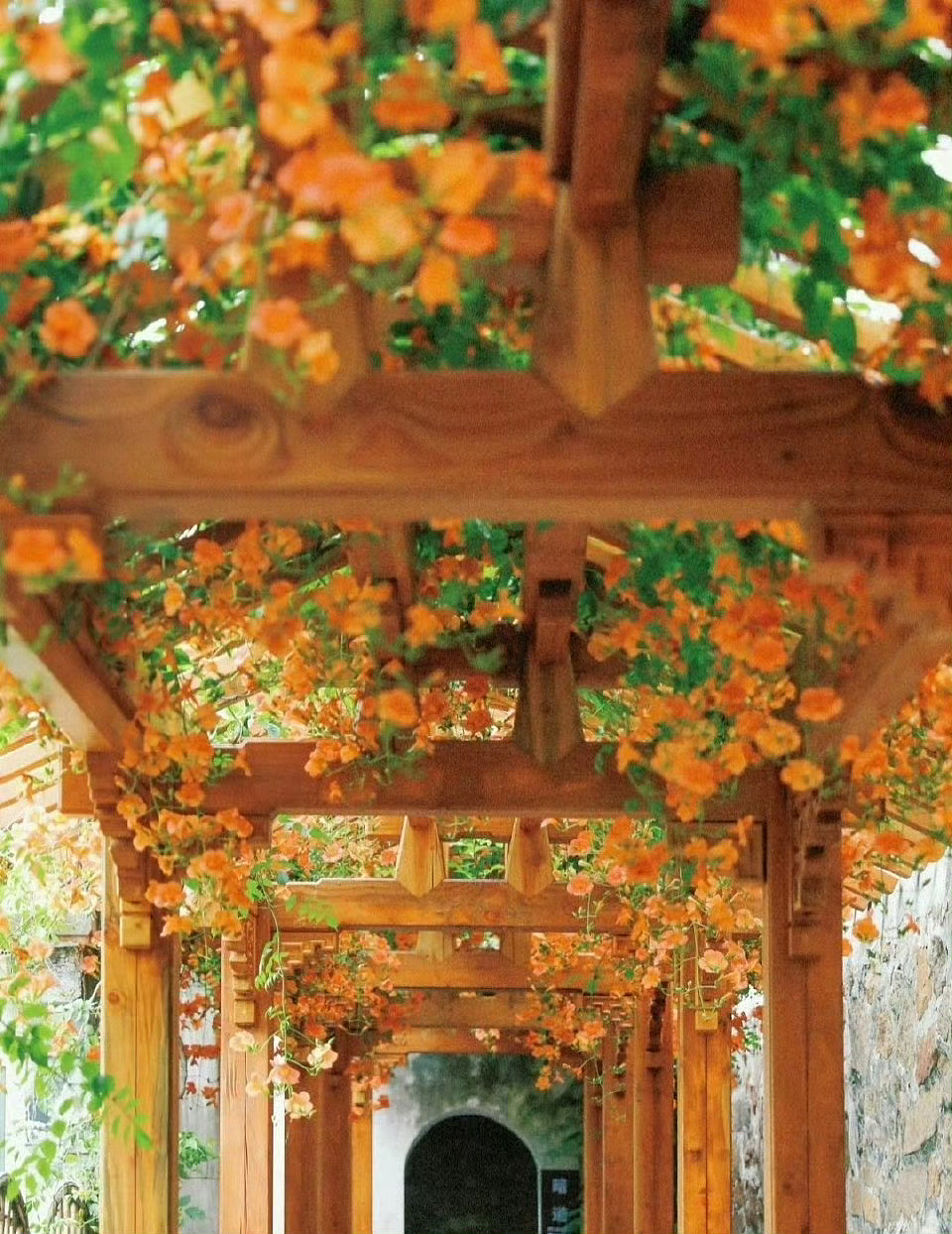 岁月不声不响,你且不慌不忙,在凡俗的烟火里,愿以素