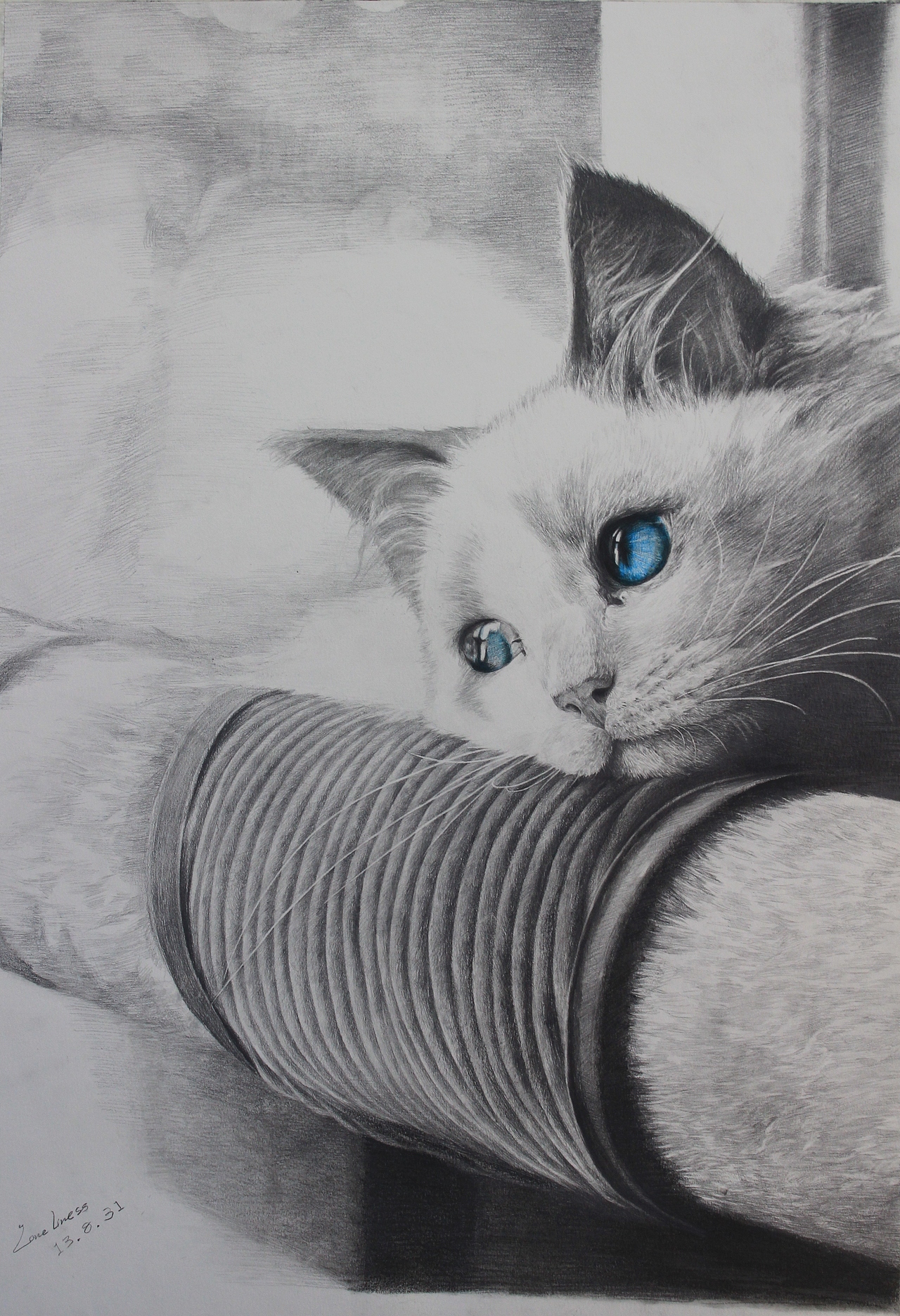 《静》主题系列素描作品二《蓝瞳の猫》（图ZMjU5NTUwNjQ=） - 绘画 - 站酷设计师Loneliness丶原创素材 - 站酷ZCOOL