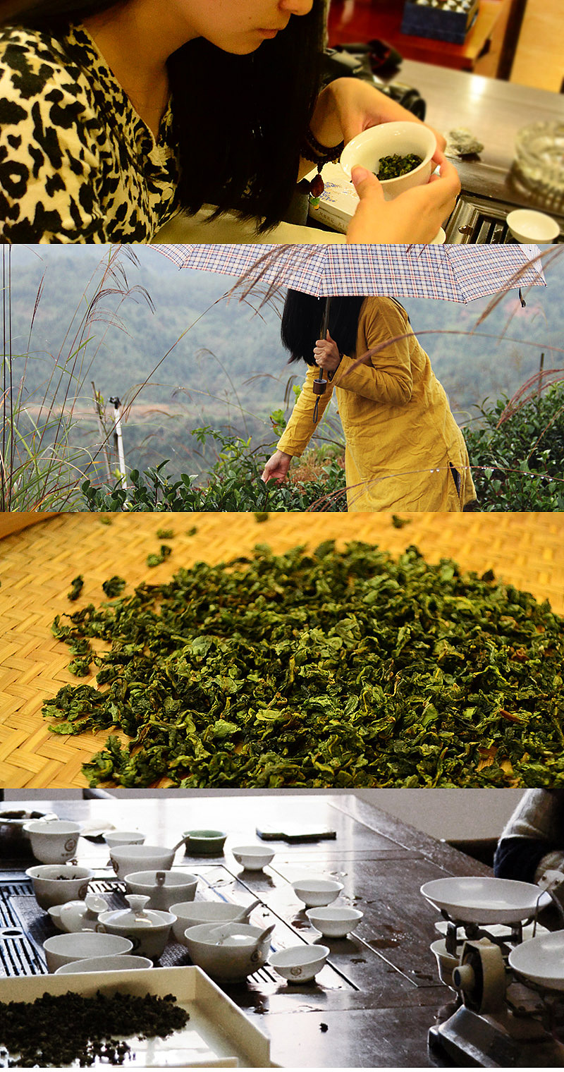 高圆圆婚礼定制茶礼【观音松子】(图ZMjIyNzkxNjQ=) - 生活用品 - 站酷设计师xu7820原创素材 - 站酷ZCOOL
