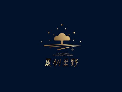夏树星野摄影工作室LOGO设计