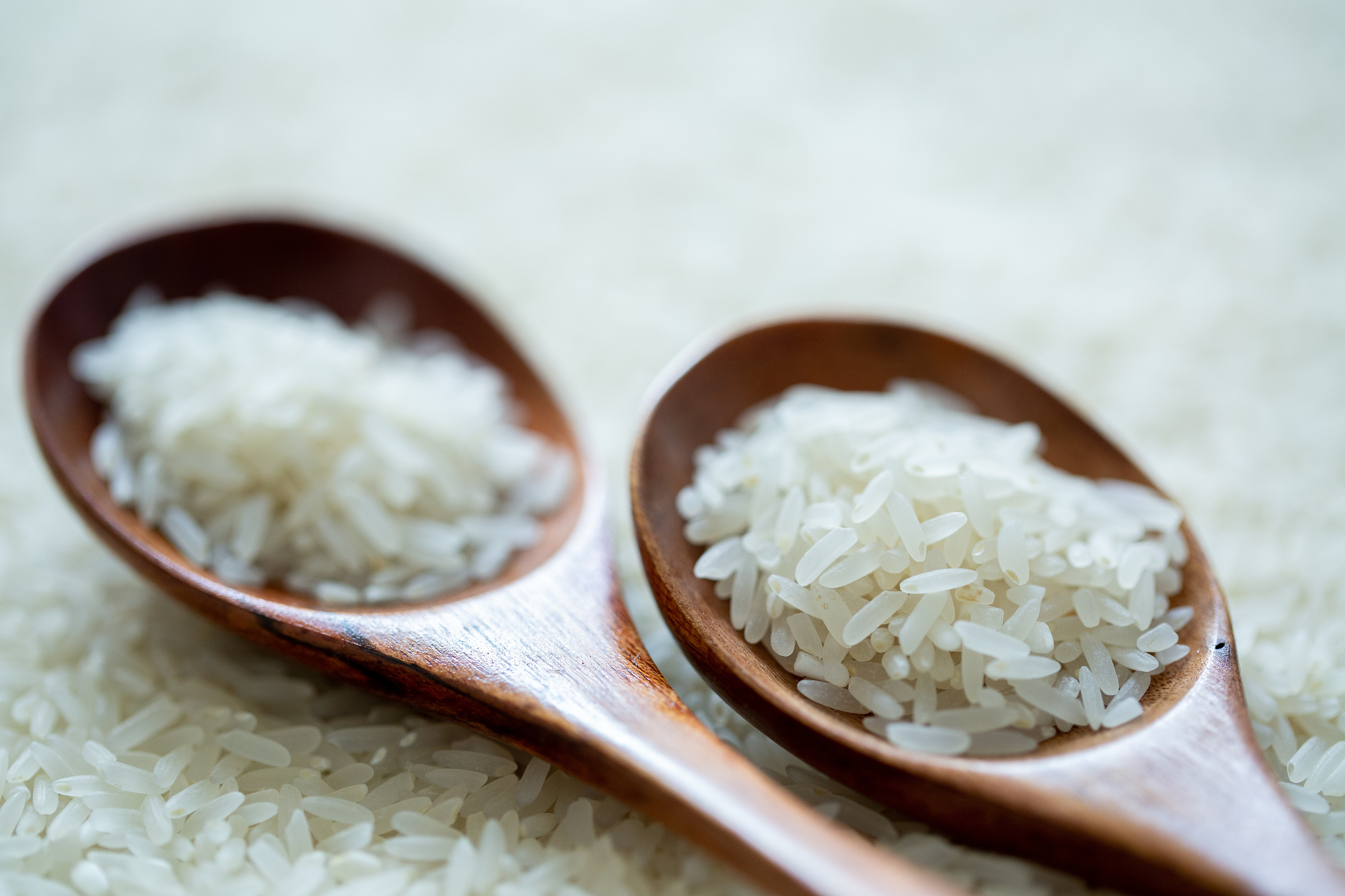 龙门七丝粘香米 摄影图片