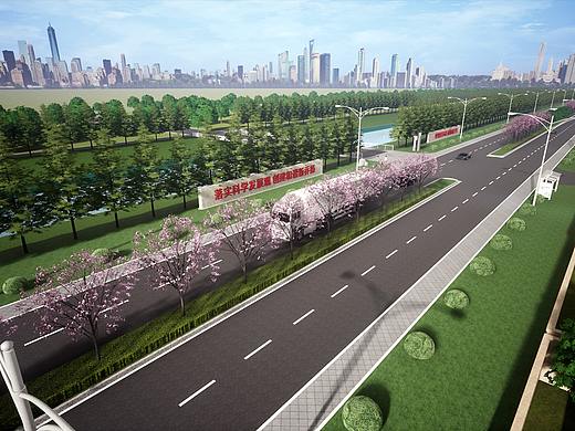 一个村镇道路绿化改造方案