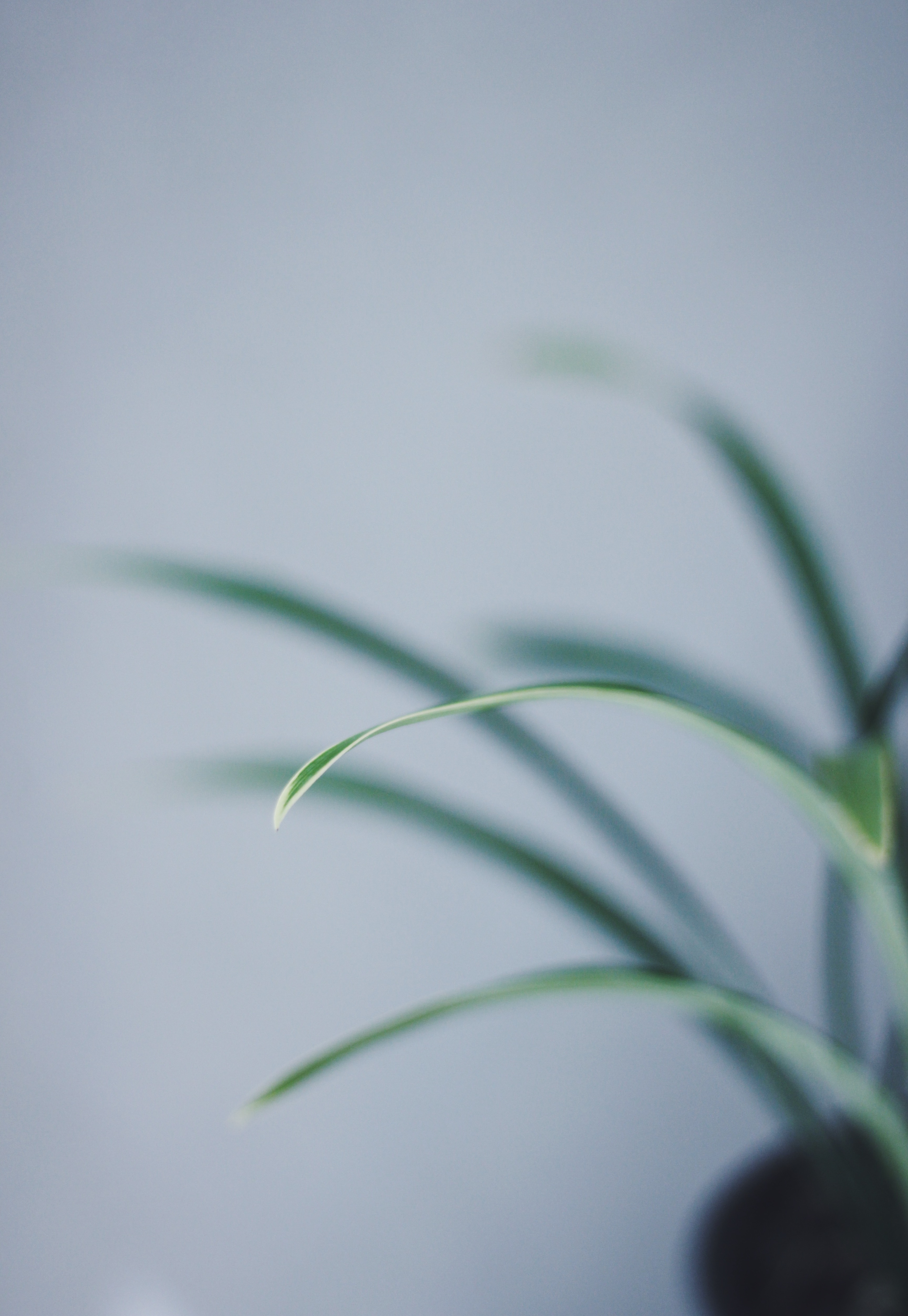 子木與映的個人主頁（封面預覽） - 主頁封面設置 - 站酷設計師子木與映原創(chuàng)素材 - 站酷ZCOOL