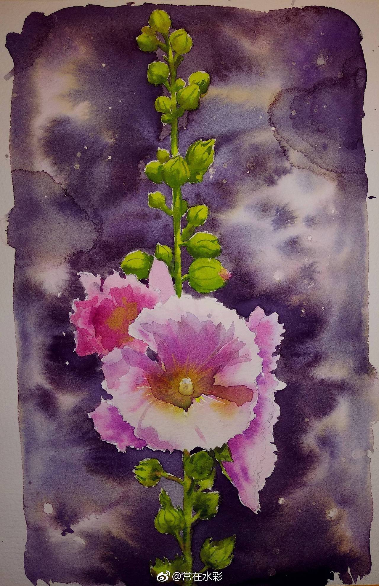水彩蜀葵花小画 - 原创作品 - 站酷(zcool)