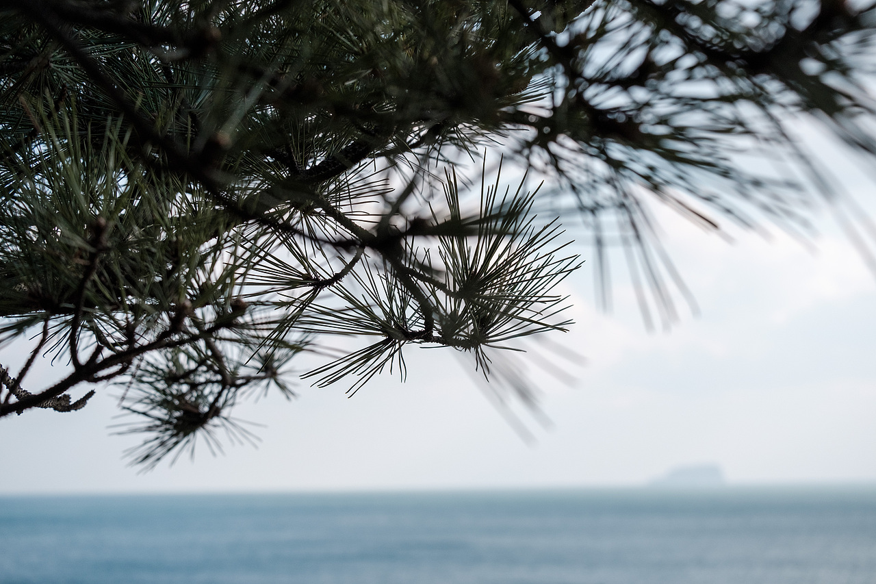 大连 七贤岭公园