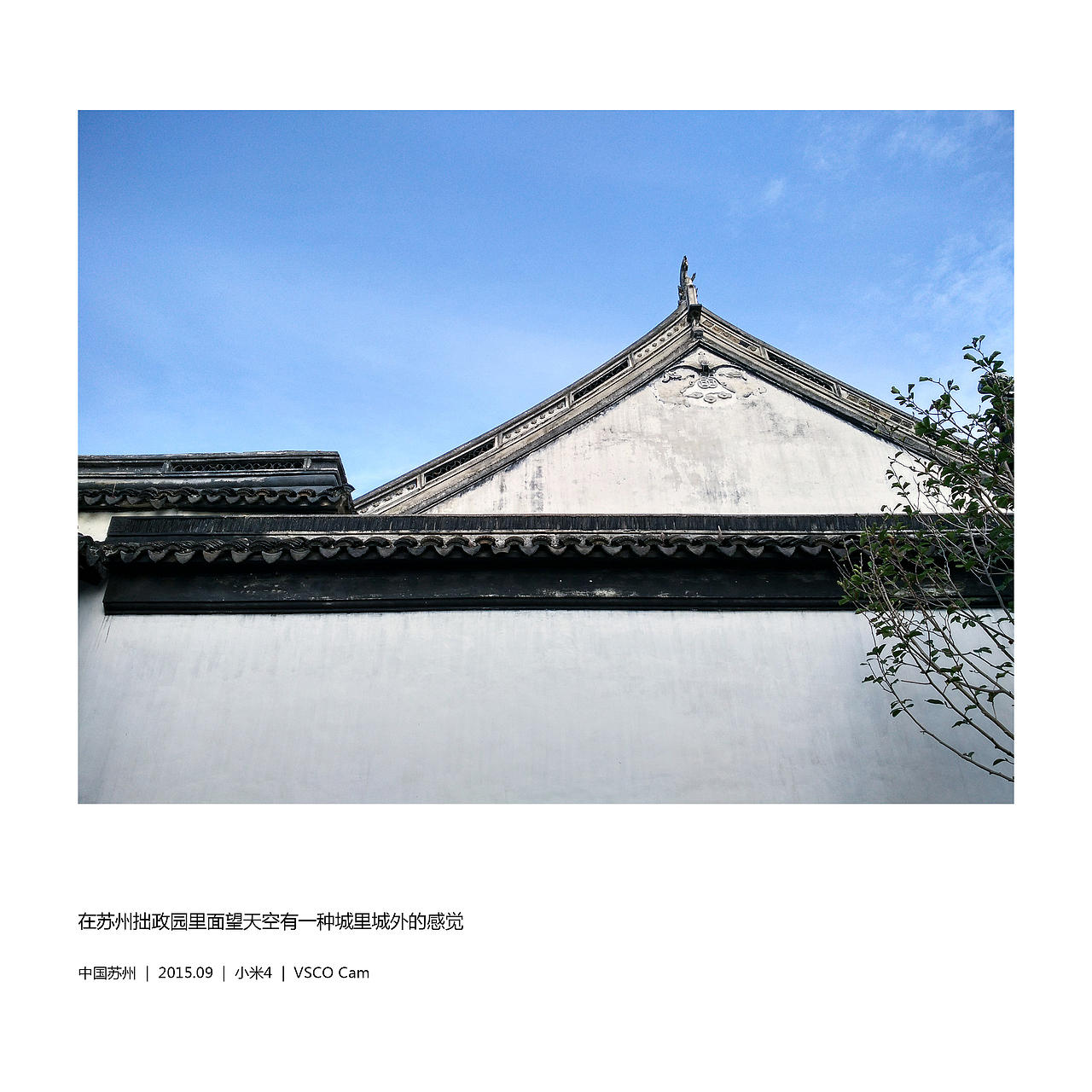 2017年手机摄影合集（图ZMTAxMzAwODI0） - 人文/纪实摄影 - 站酷设计师小电大白原创素材 - 站酷ZCOOL
