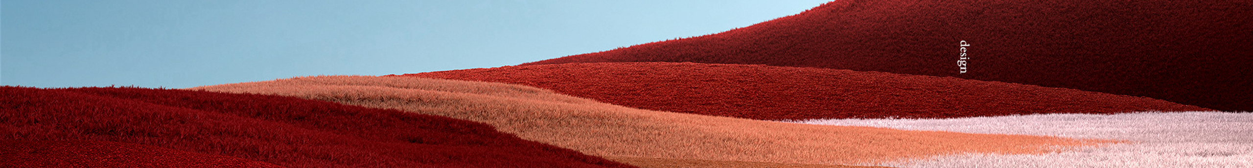 沉默的雄狮的个人主页（封面预览） - 主页封面设置 - 站酷设计师沉默的雄狮原创素材 - 站酷ZCOOL