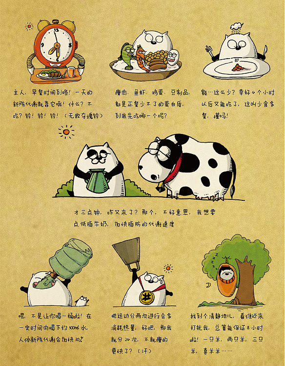 Molly猫的乐活时光（图ZMTYzMjUxMzY=） - 商业插画 - 站酷设计师仙豆的豆原创素材 - 站酷ZCOOL