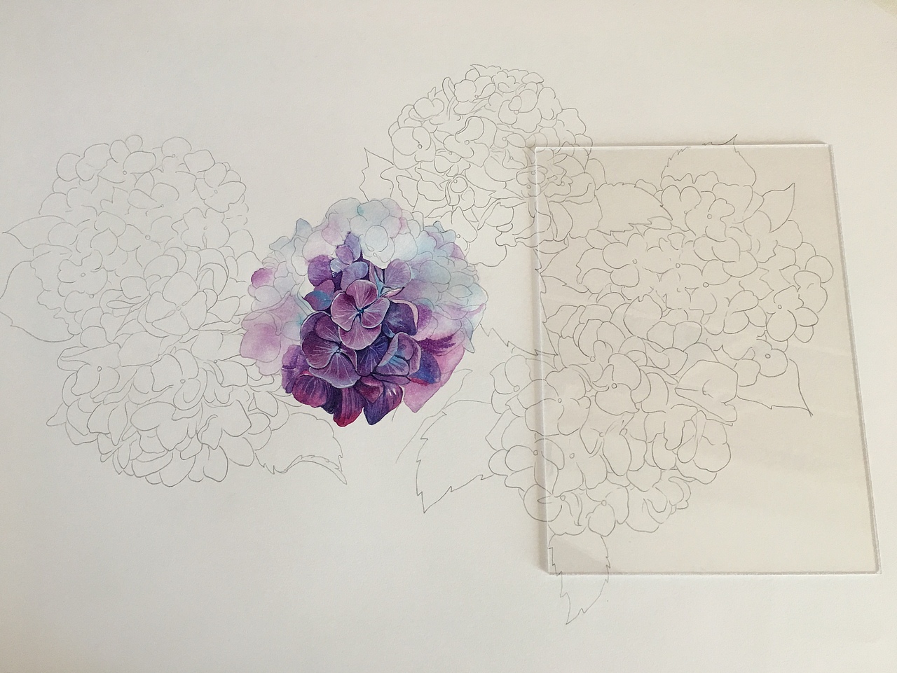 无尽夏（图ZMTIzNTA3NDE2） - 绘画 - 站酷设计师云屿wyj原创素材 - 站酷ZCOOL