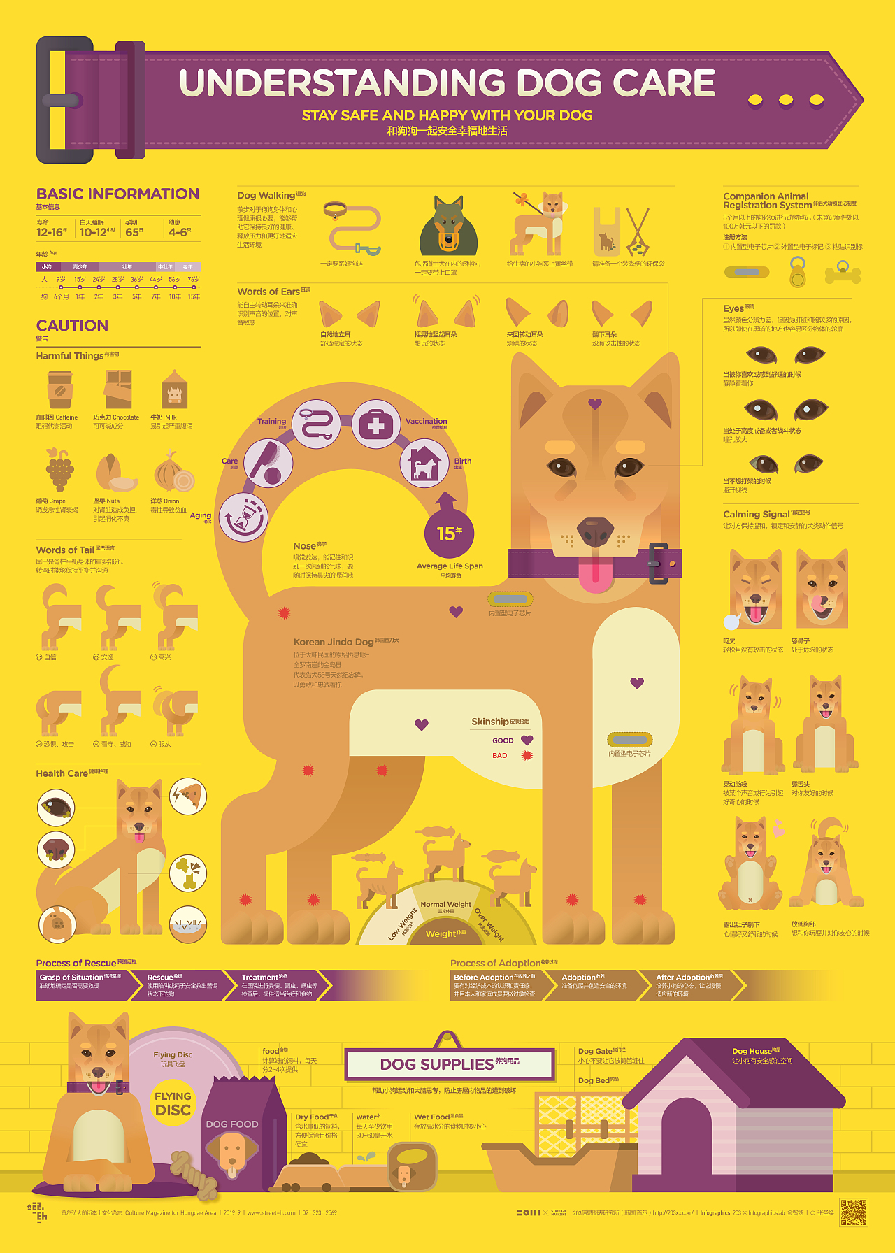 2019_09_狗_UNDERSTANGING DOG CARE（图ZMTkyODA1NDky） - 信息图表 - 站酷设计师203_信息图表_Lab原创素材 - 站酷ZCOOL