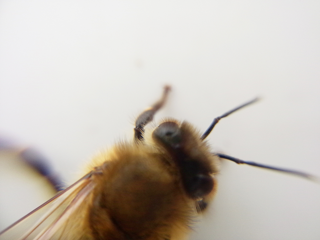 手机摄影拍拍拍~（图ZNTQyODcwMTY=） - 产品摄影 - 站酷设计师一大口黑锅原创素材 - 站酷ZCOOL