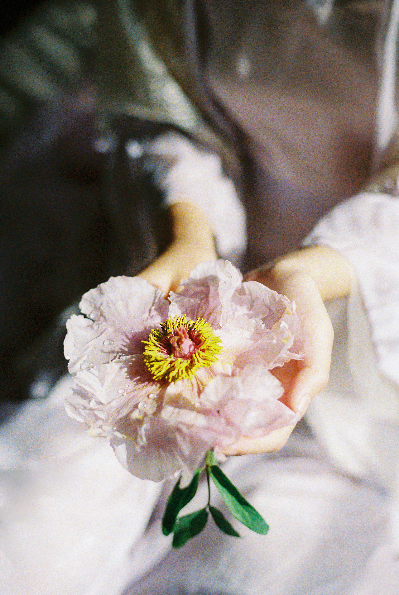 你本无意穿堂风,偏偏孤倨引山洪。