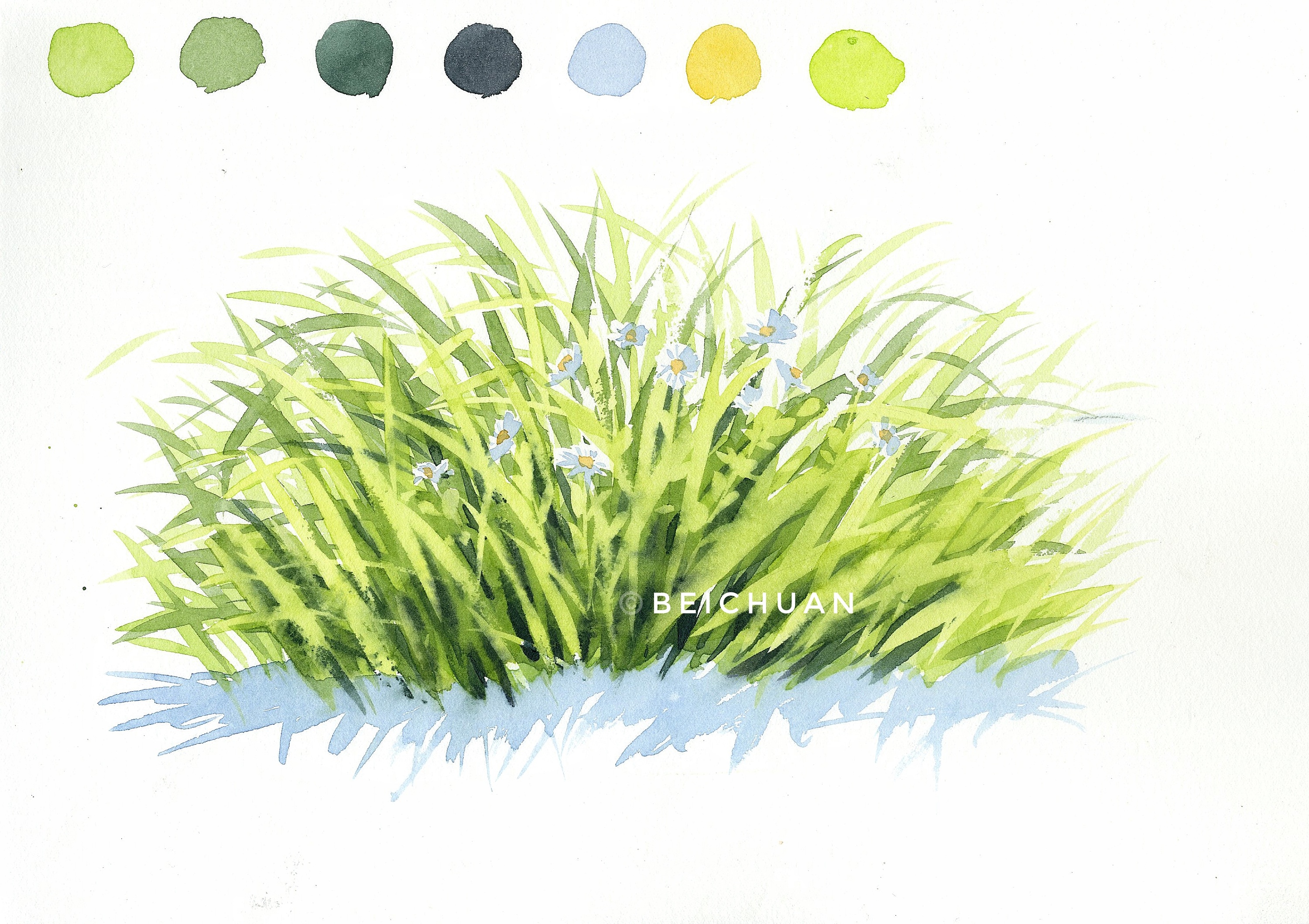水彩|草丛的绘制|插画|创作习作|北川大叔 - 原创作品 - 站酷 (zcool)