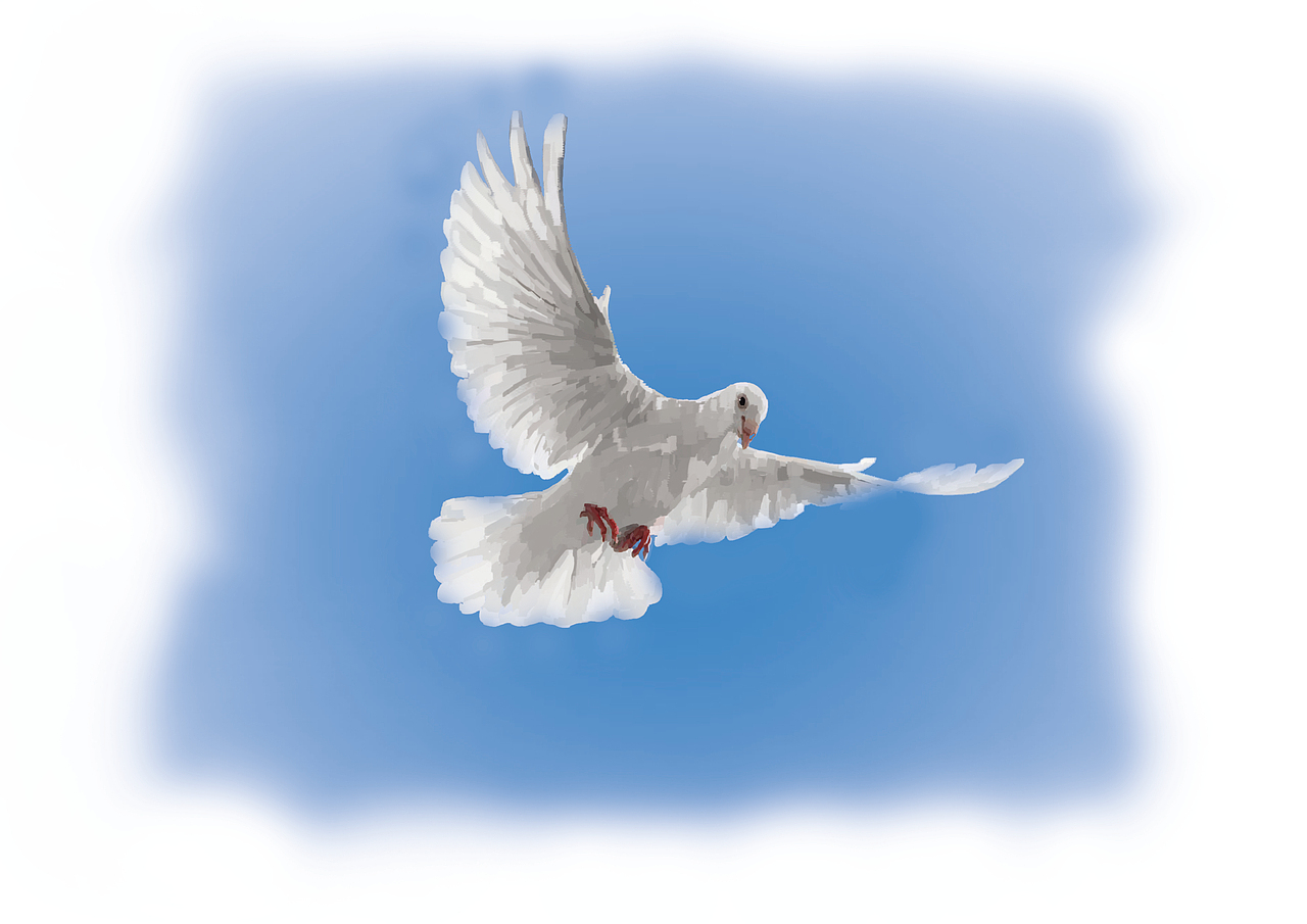 以前帮师兄做的外包~大概是给儿童书做图解用的吧2333（图ZOTc5NTE5NjQ=） - 艺术插画 - 站酷设计师弶莜哒丶原创素材 - 站酷ZCOOL