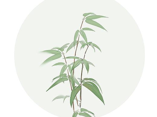 画花花（个人主页-ZNDQ0MjMwMTY=） - 艺术插画 - 站酷设计师冬至至至原创素材 - 站酷ZCOOL