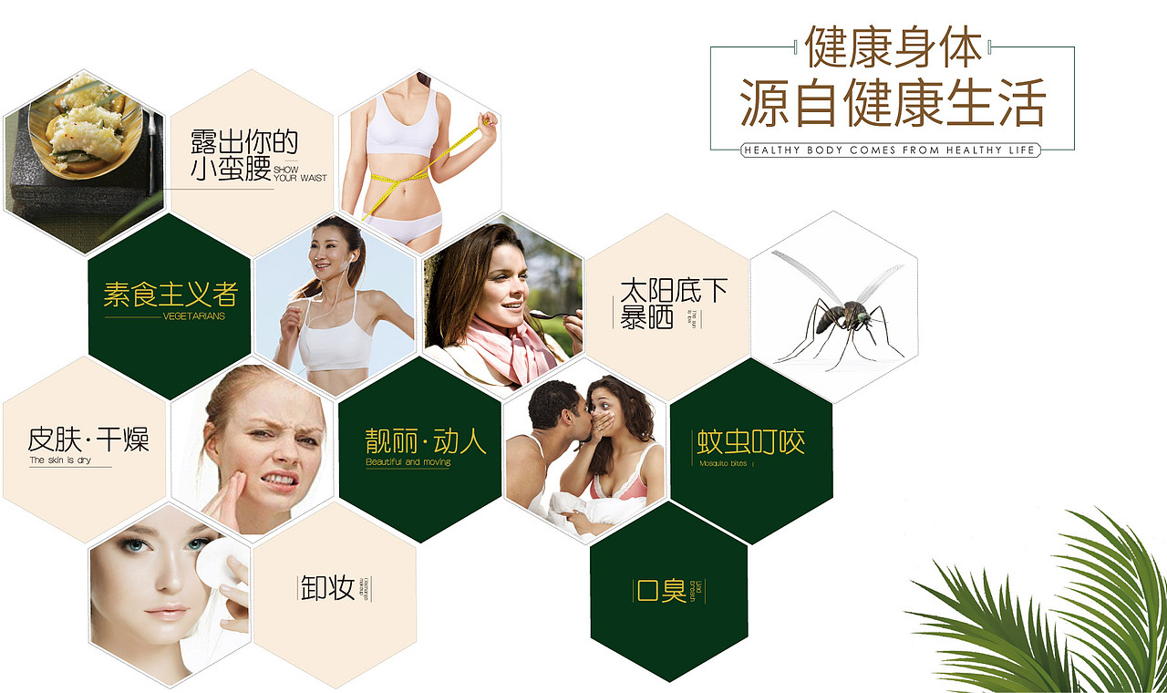 金椰庄园-品牌设计全案（图ZMjcwNzg5NjI4） - 品牌 - 站酷设计师红方品牌设计原创素材 - 站酷ZCOOL