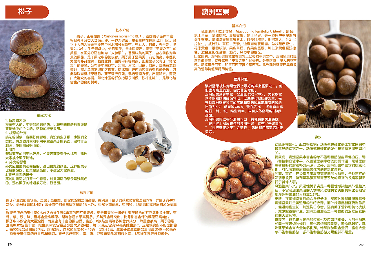 坚果画册（图ZMTg4MzU0ODIw） - 书籍/画册 - 站酷设计师唐永昌原创素材 - 站酷ZCOOL