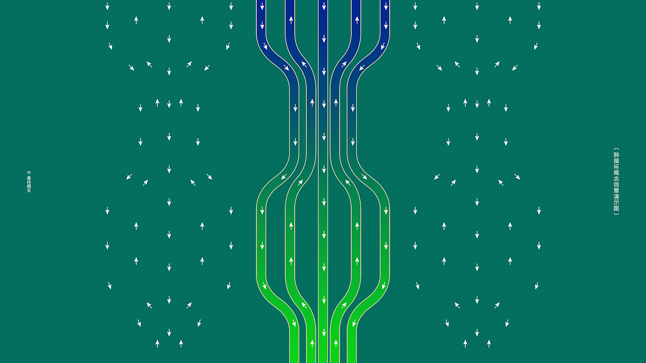 肺动力品牌包装设计