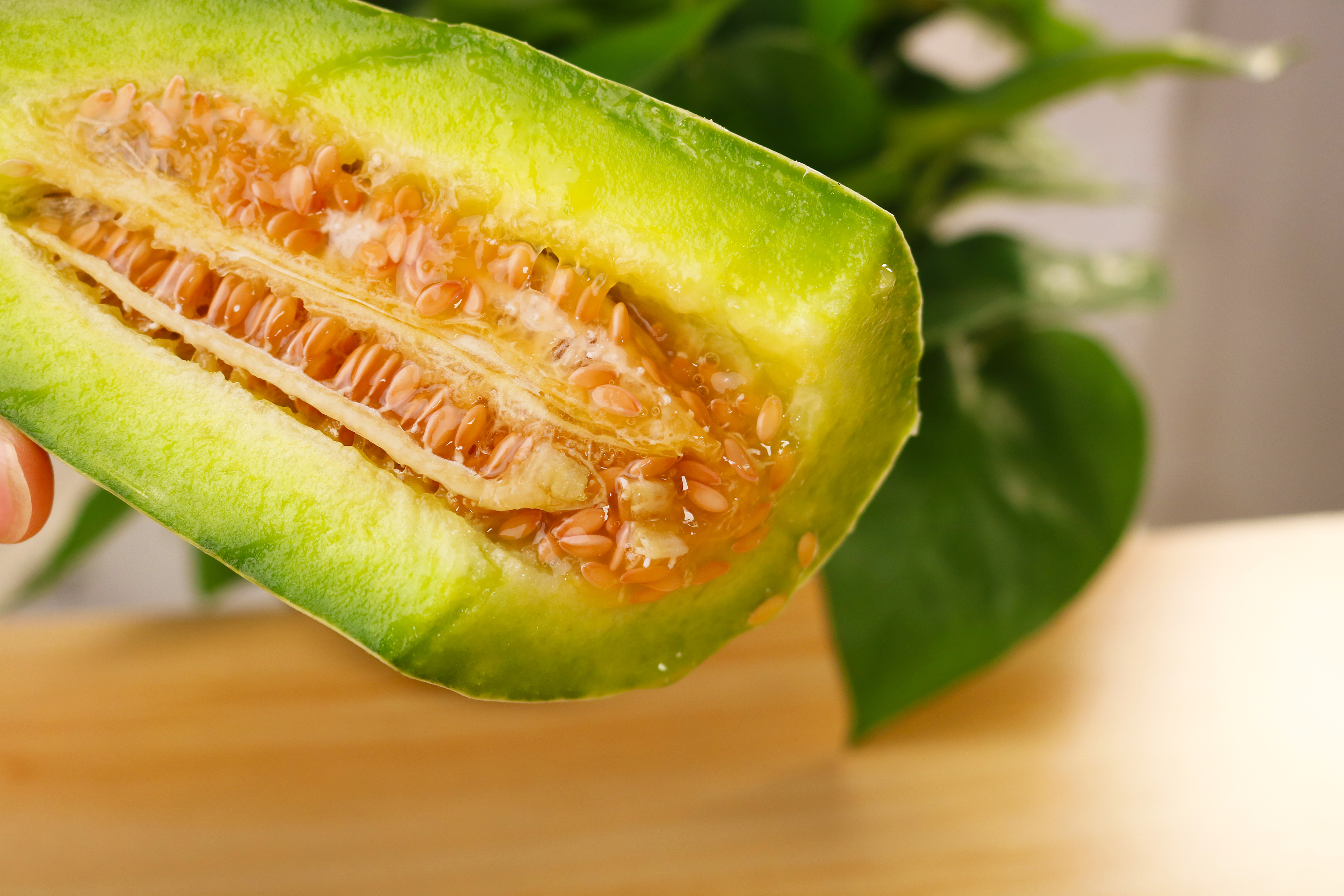 志云网络-羊角蜜瓜