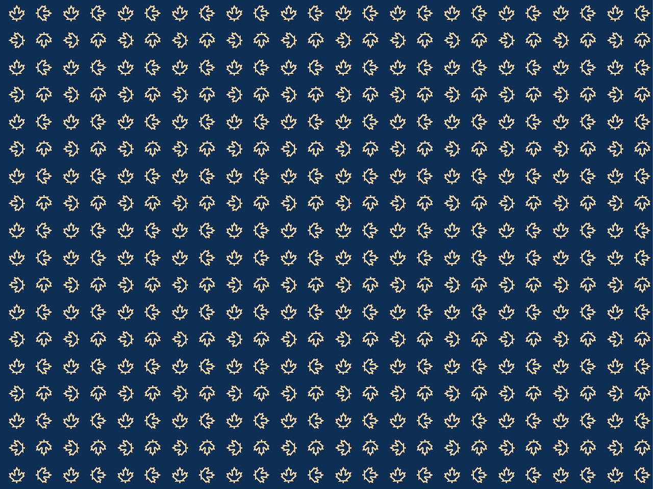 温哥华森林项目VI推导及应用-1(LOGO不是我做的)