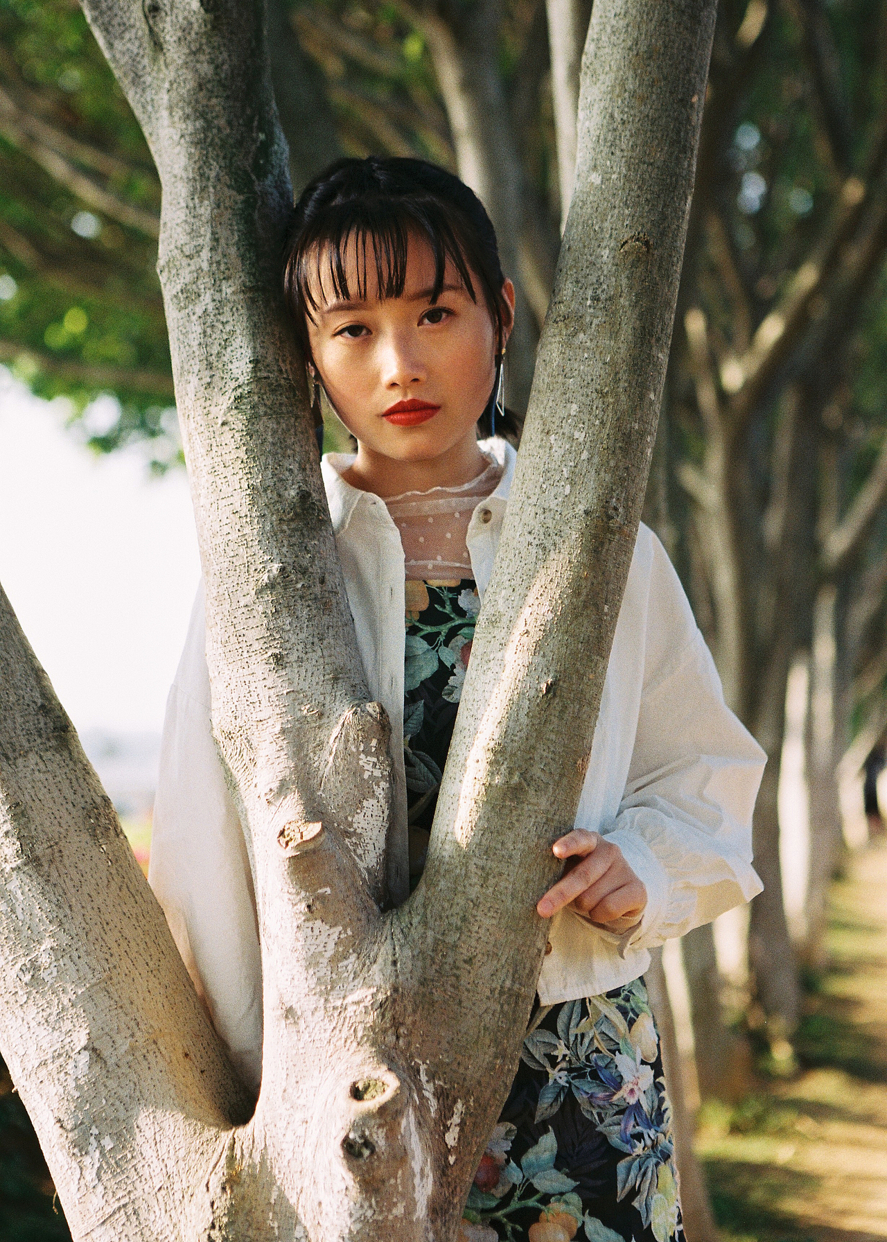 五月的阳光一如往常 劫持了她所有的幻想