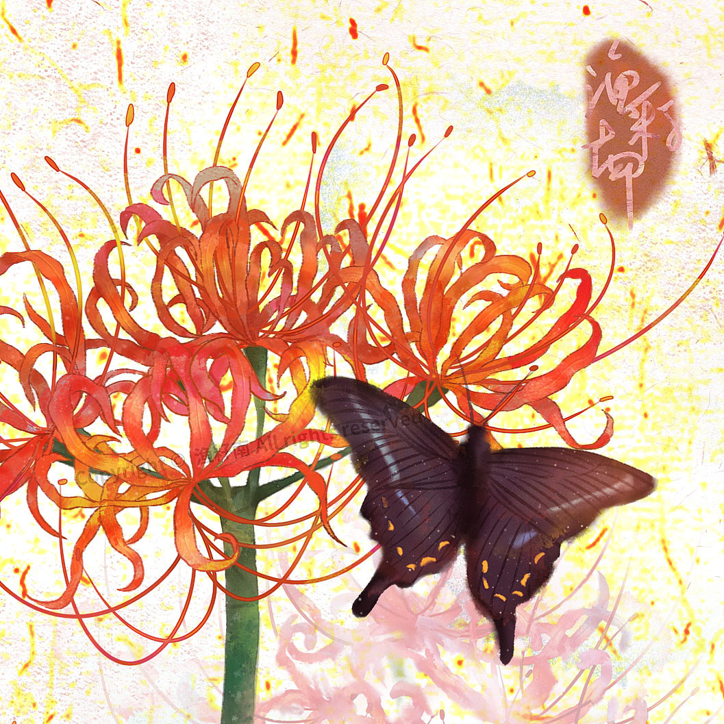 花卉系列-彼岸花|插画|创作习作|渔籽南_原创作品-站酷zcool