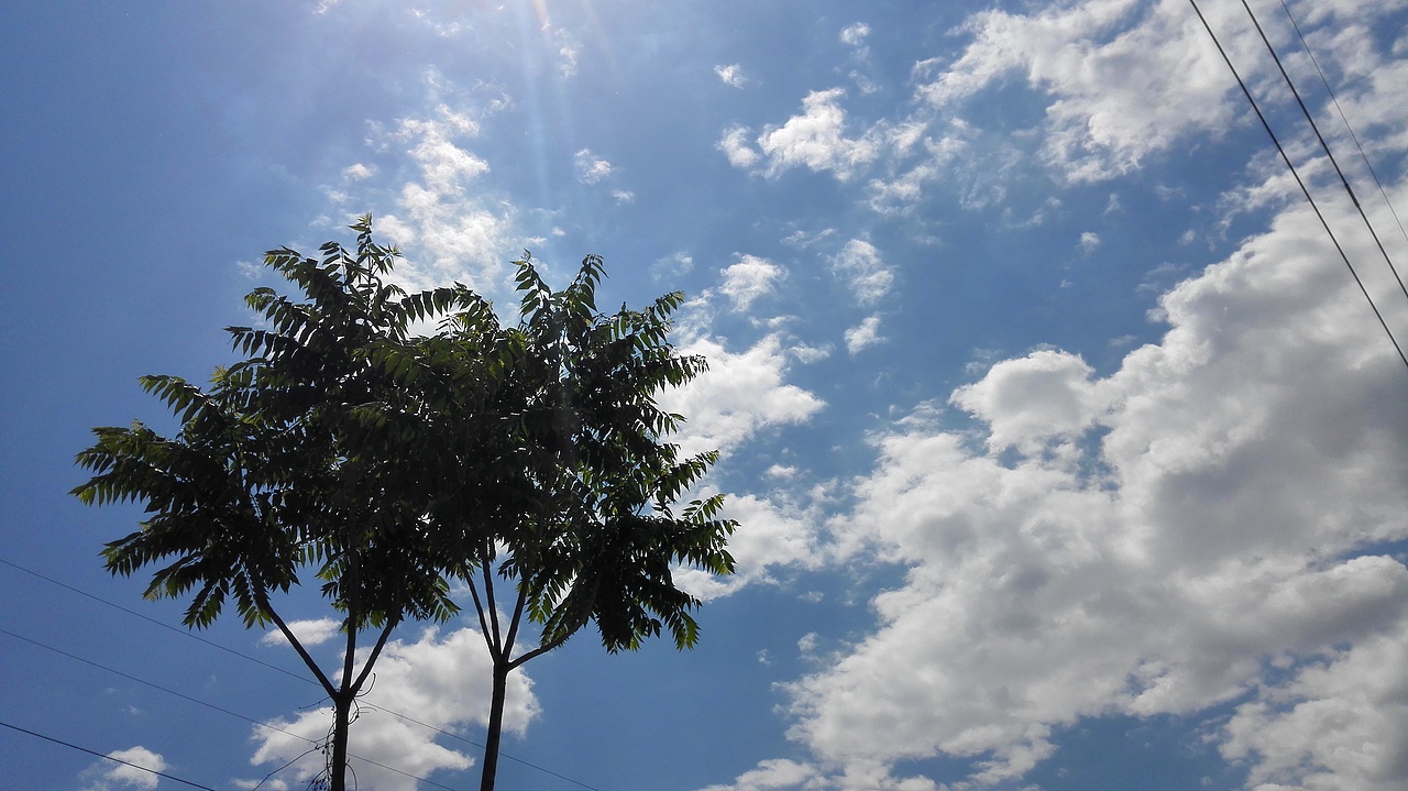 手機(jī)照片做的底圖（圖ZMjg2MjE3MDQ=） - 品牌 - 站酷設(shè)計(jì)師SHINE1115原創(chuàng)素材 - 站酷ZCOOL