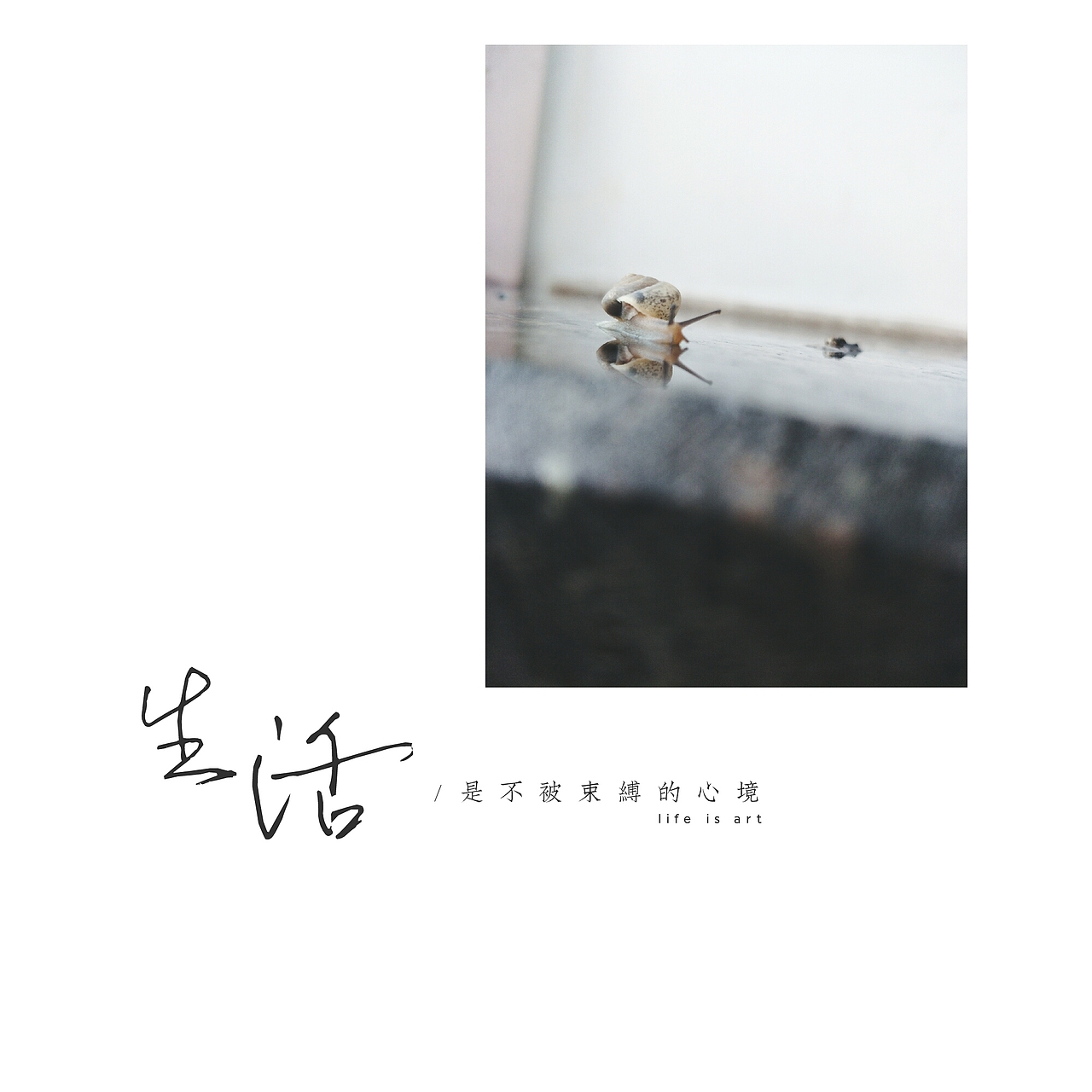 随手拍 记录每一个瞬间