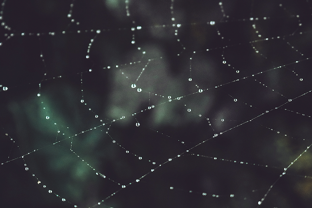 蛛丝（图ZMTI2NzgxNDAw） - 风光摄影 - 站酷设计师摄影小zz原创素材 - 站酷ZCOOL