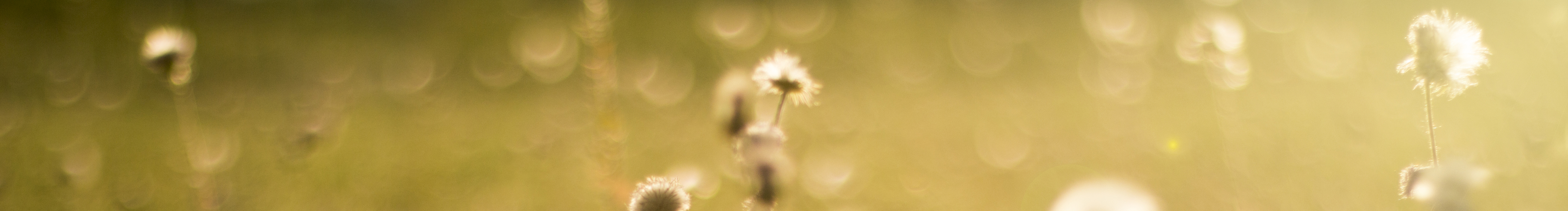 東子不阿的個人主頁（封面預(yù)覽） - 主頁封面設(shè)置 - 站酷設(shè)計師東子不阿原創(chuàng)素材 - 站酷ZCOOL