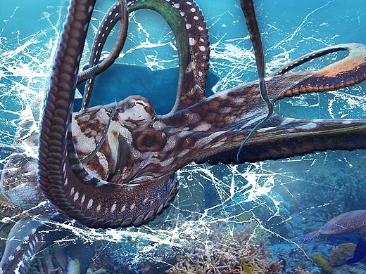 VR（个人主页-ZMzg0NTY3MDg=） - 海报 - 站酷设计师甲乙丙丁的路人原创素材 - 站酷ZCOOL