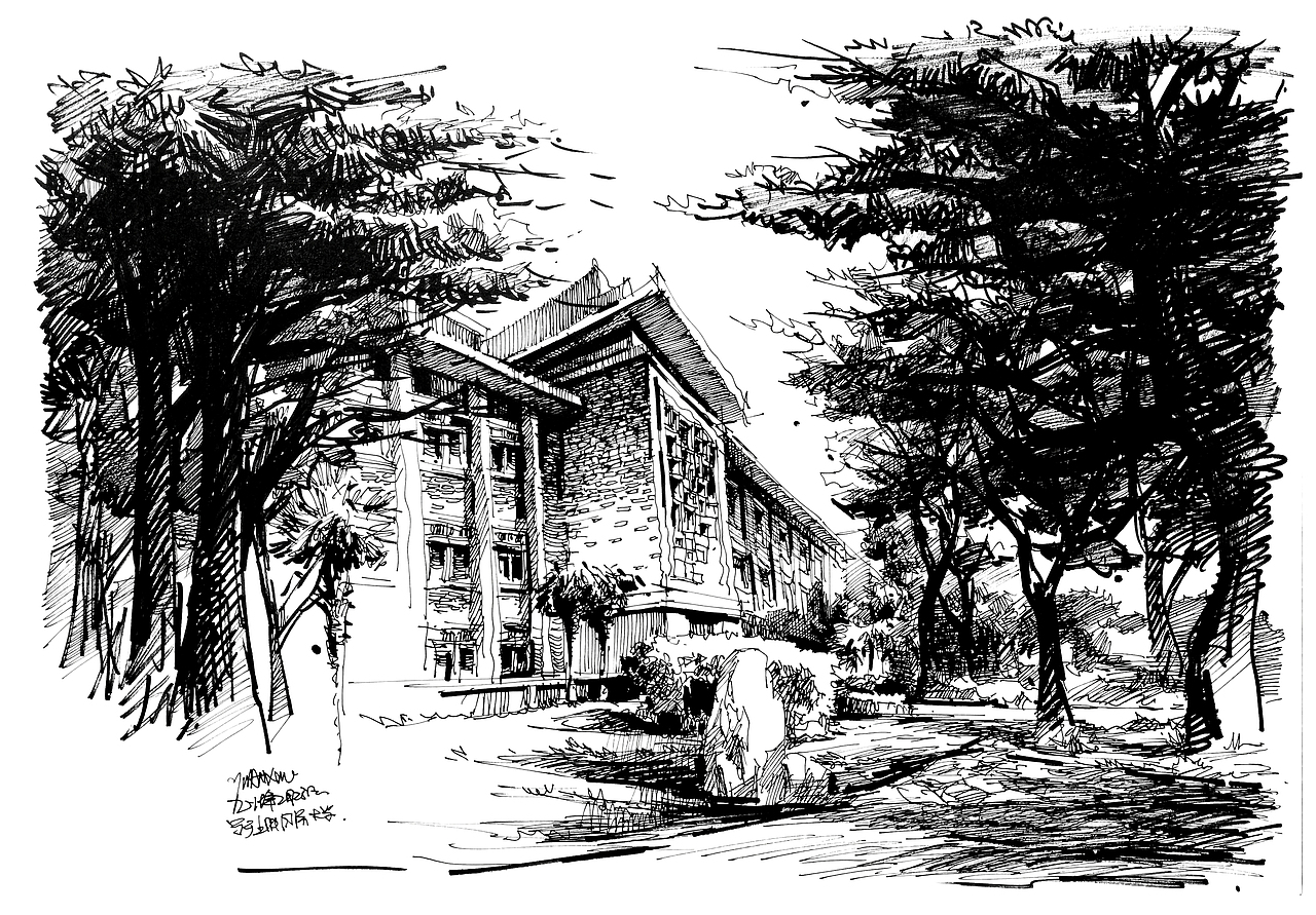 同济大学校园风景钢笔画