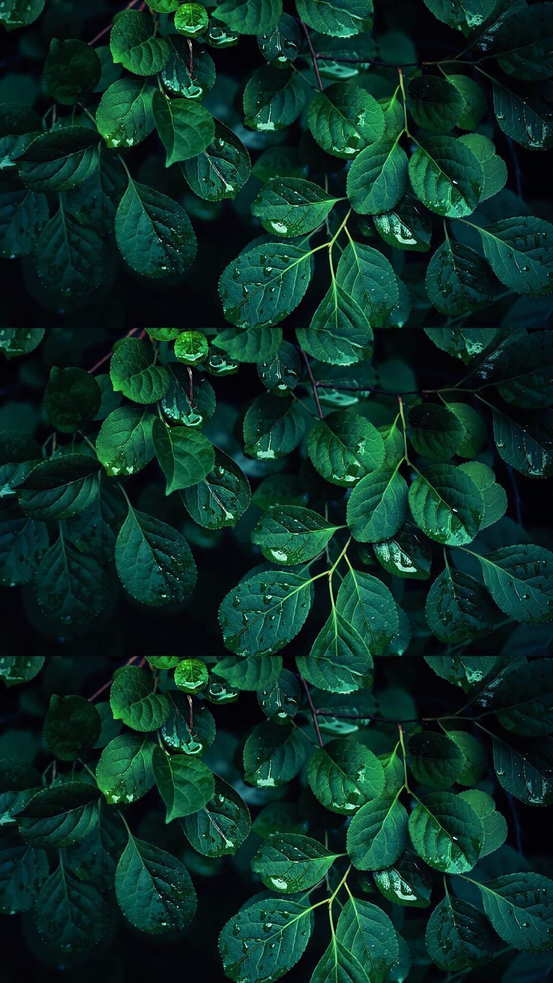 AKJING的个人主页（封面预览） - 主页封面设置 - 站酷设计师AKJING原创素材 - 站酷ZCOOL