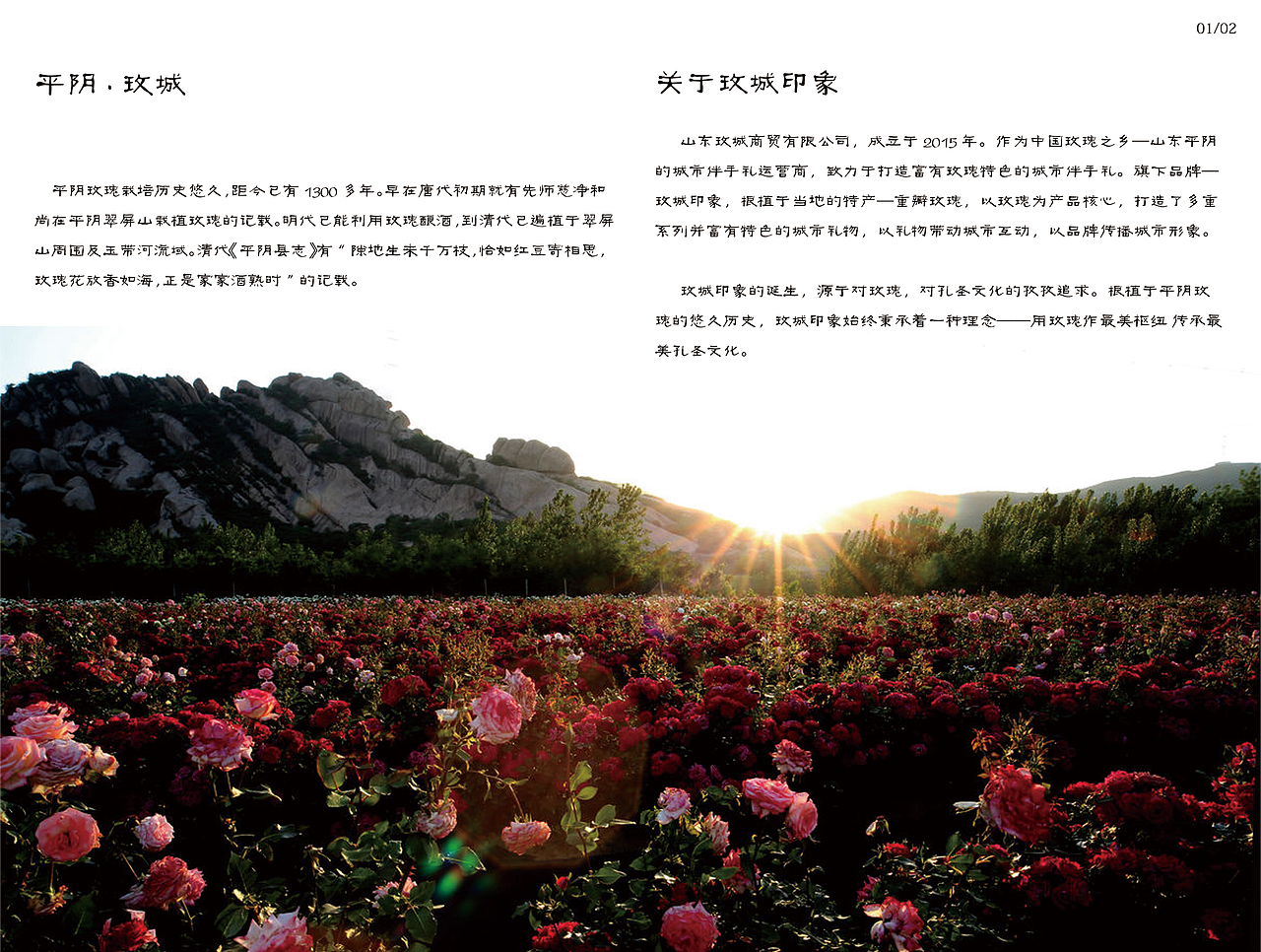 玫城印象宣传画册（图ZODA4MDE3Mjg=） - 书籍/画册 - 站酷设计师阿勇咩原创素材 - 站酷ZCOOL