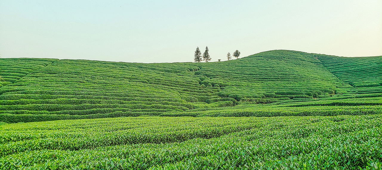 《韵·杭州》（图ZMTY4OTY4ODA0） - 人文/纪实摄影 - 站酷设计师大脸夏夏子原创素材 - 站酷ZCOOL