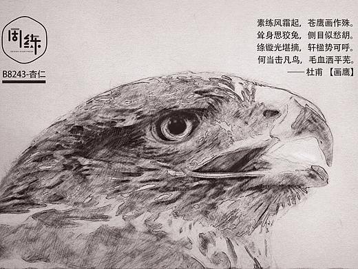 周练NO.3——动作制作手绘风海报