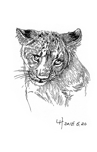 看到这张,你想到了什么?嘿嘿…