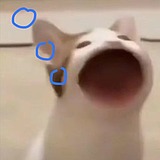 白日梦MashiGi的头像