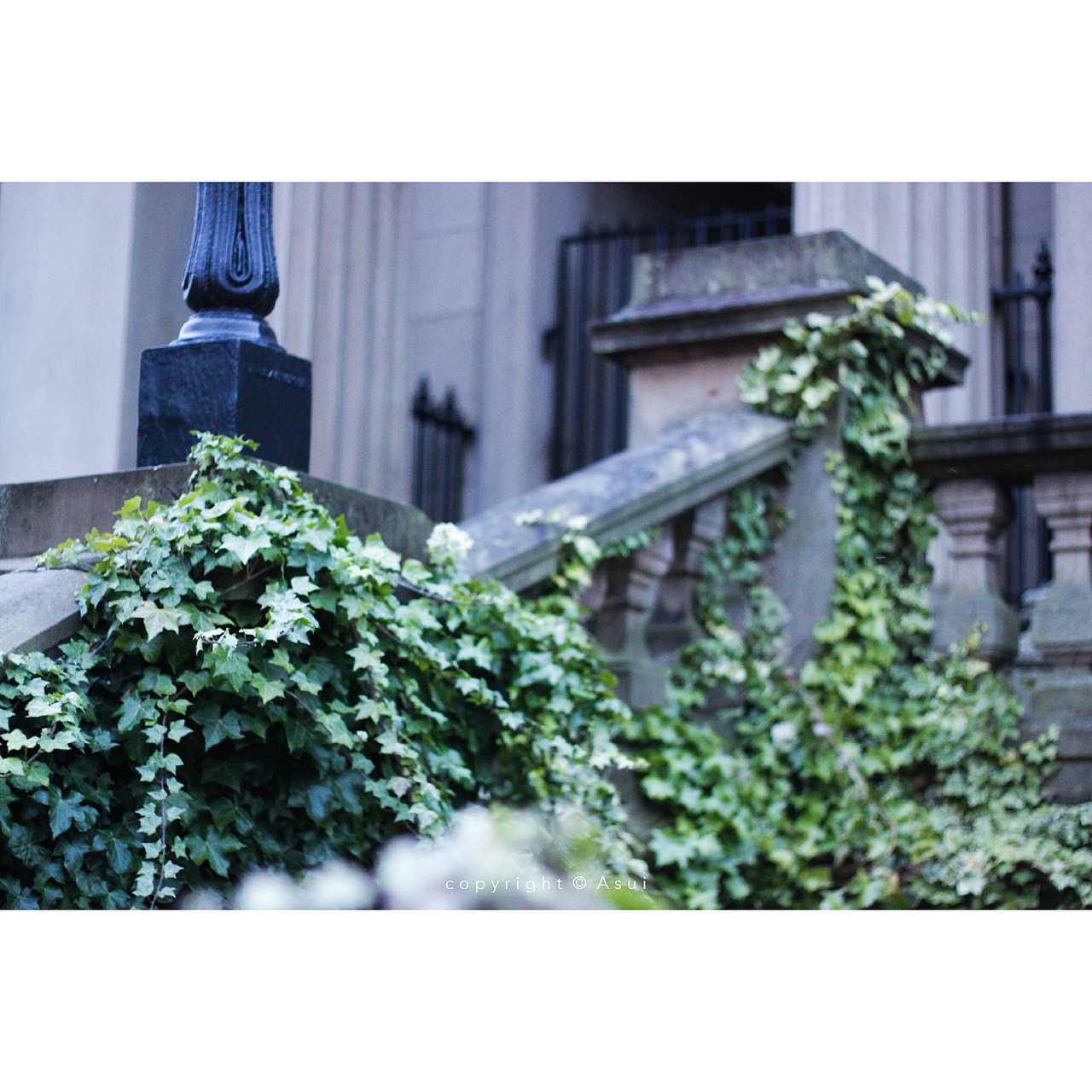 「十四行诗」· 公园一景