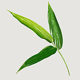 一米阳光0920的头像