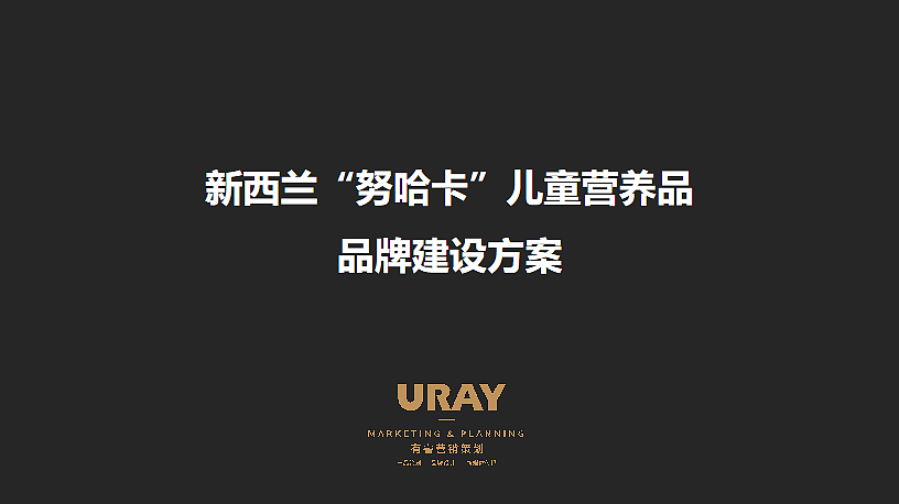 2024新西兰努哈卡儿童营养品品牌建设方案-31P