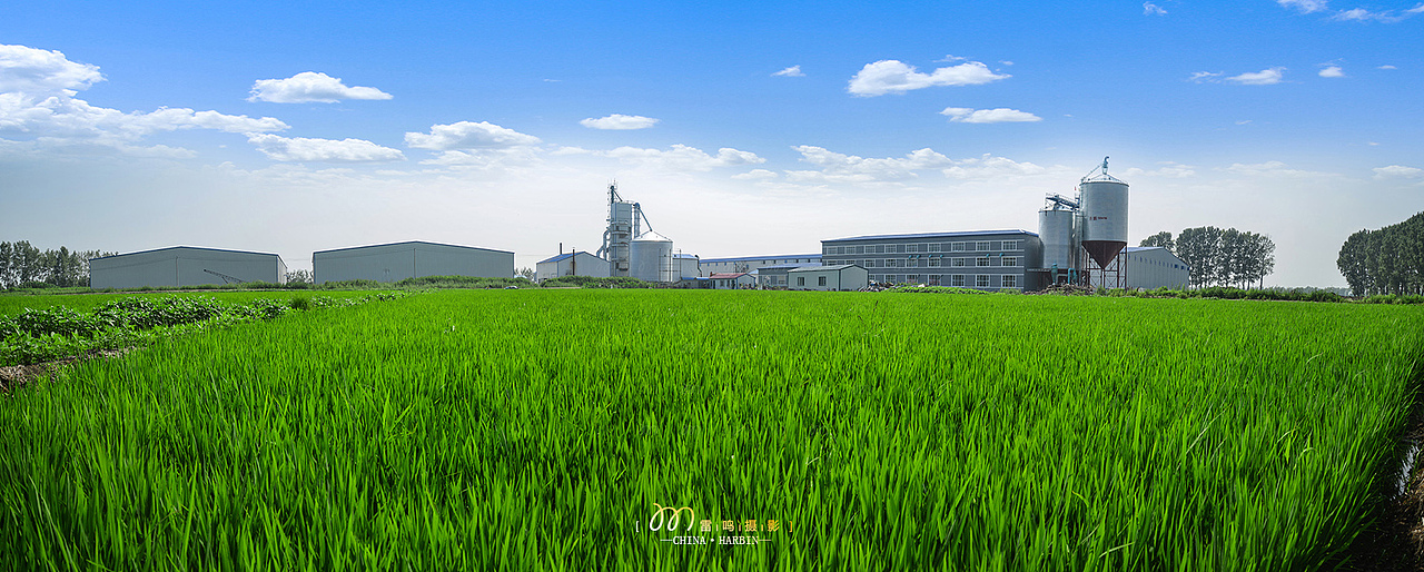 《北大荒 前卫粮仓》美食 产品 环境 哈尔滨 雷鸣摄影（图ZMTUzNDU2MzY0） - 人文/纪实摄影 - 站酷设计师雷鸣摄影原创素材 - 站酷ZCOOL