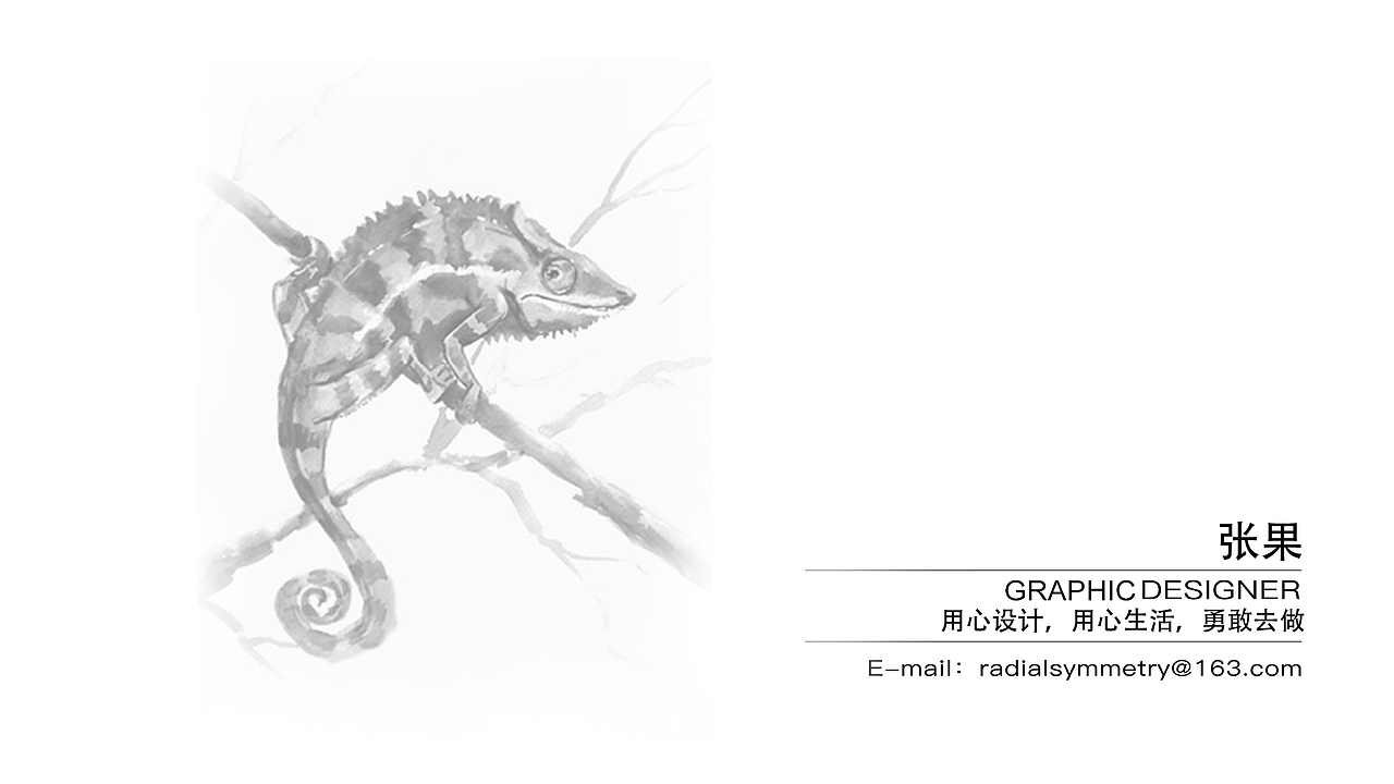 【作品集-平面】（图ZMTMzNTAwMTI4） - 其他平面 - 站酷设计师给我切西瓜原创素材 - 站酷ZCOOL