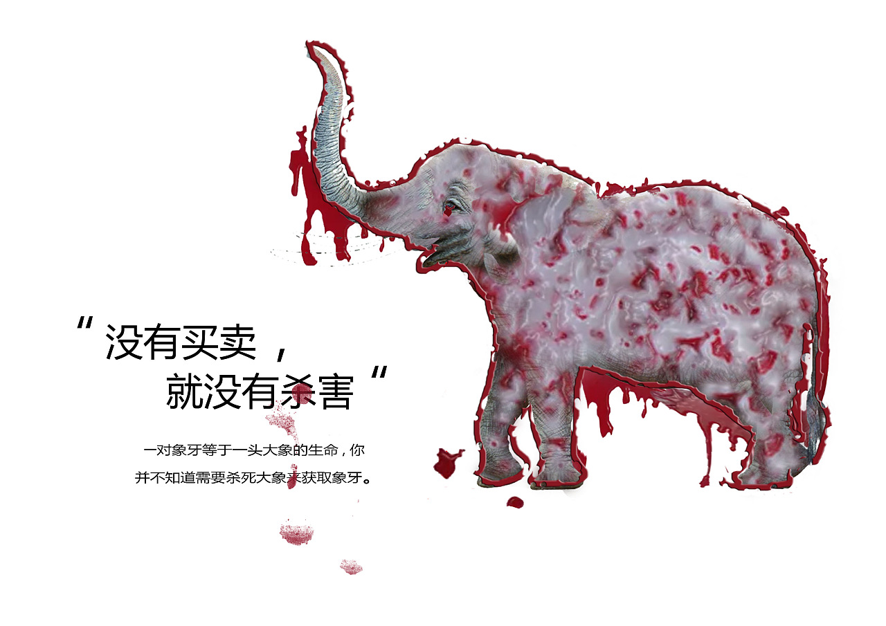 保护动物|平面|海报|一雪唐子 - 原创作品 - 站酷 (zcool)