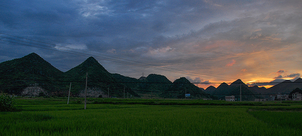稻田,夕陽。讓我想起小曲兒的謂我:誰在隴間頌四時歌,野火燒出了秋色,掠一襲風凜然吹向我